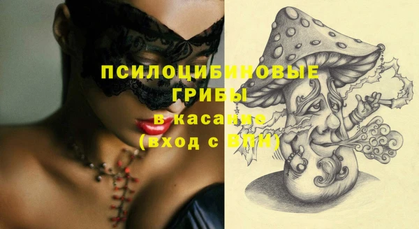 мдпв Володарск
