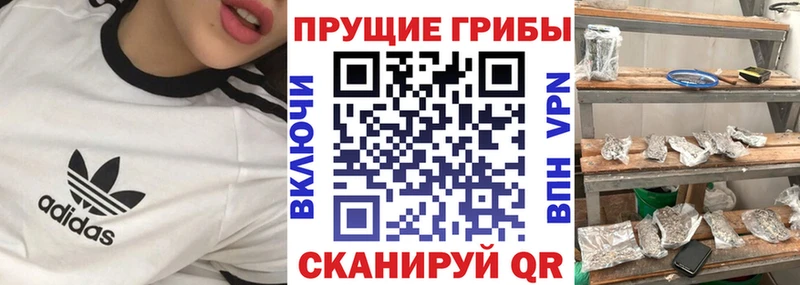 Галлюциногенные грибы мухоморы Вытегра