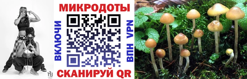 хочу наркоту  Вытегра  Галлюциногенные грибы Magic Shrooms 