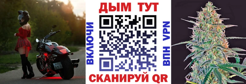 kraken зеркало  купить наркоту  Вытегра  Каннабис семена 